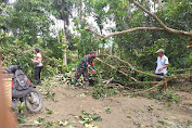 Angin Puting Beliung Hancurkan 49 Rumah di Ujung Padang