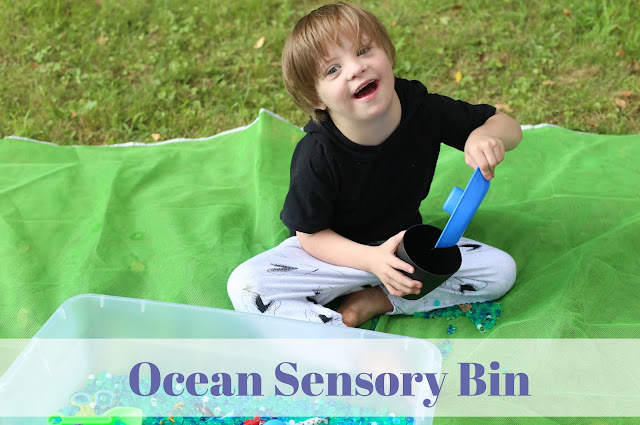 Ocean Sensory Bin