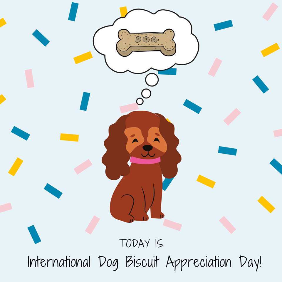 International Dog Biscuit Appreciation Day Wishes Photos