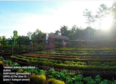 kampoeng anggrek kediri kediri lagi