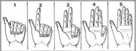 Il codice binario sulle dita