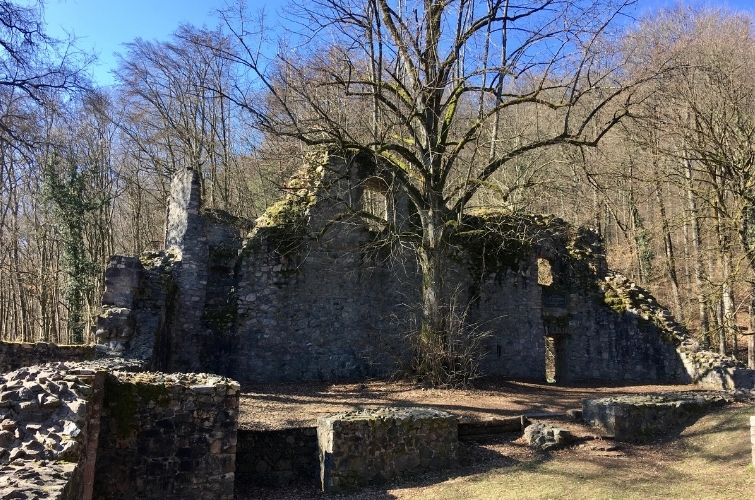 Ausflug in die Natur - Odenwald Burgruine Rodenstein Schnellerts