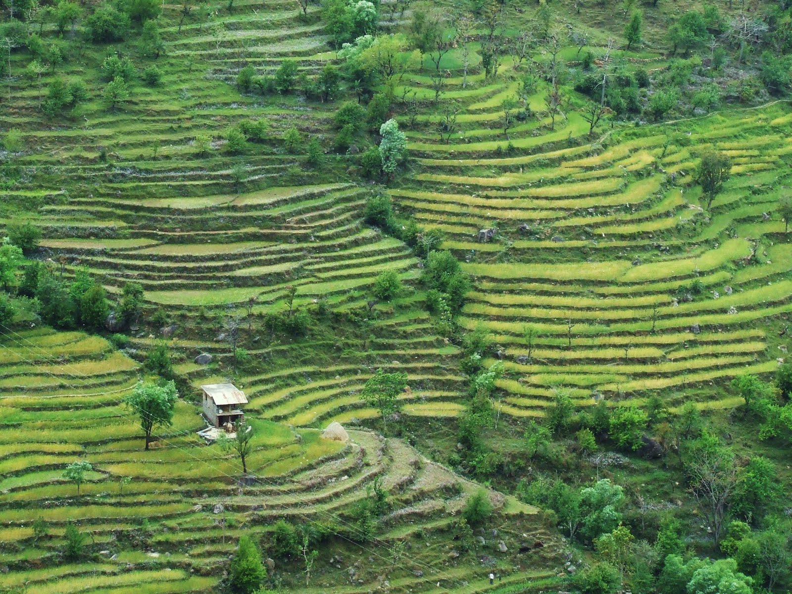 Tourism India Discover India India Tourism Dalhousie Tourism