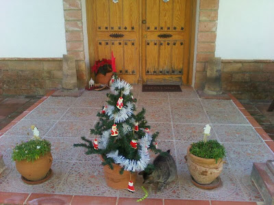 VivaSusi Blog: Weihnachtsdeko 2013