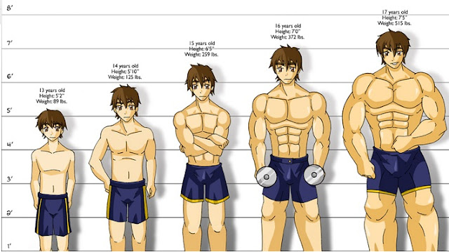 How Long Does It Take To Build Muscle Here s The Truth Bodydulding