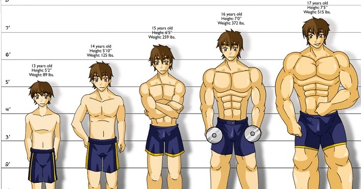 How Long Does It Take To Build Muscle Here s The Truth Bodydulding
