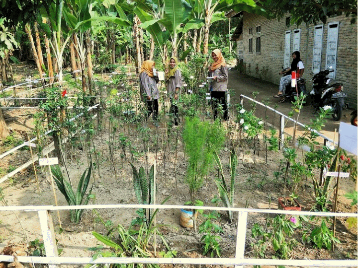 DUSUN 1 RT 1