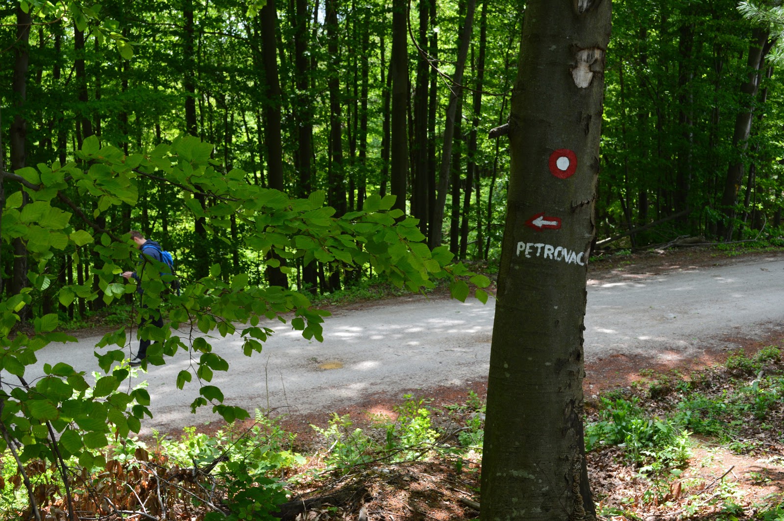 Ljepote planina Planinarska obilaznica Petrova gora, travanj 2017.