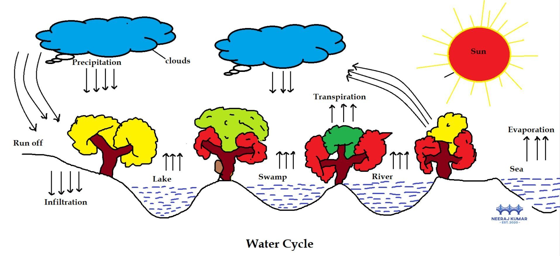 water cycle Definition, Steps, Diagram, & Facts Hydrological Cycle