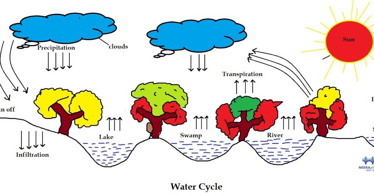 water cycle Definition, Steps, Diagram, & Facts Hydrological Cycle