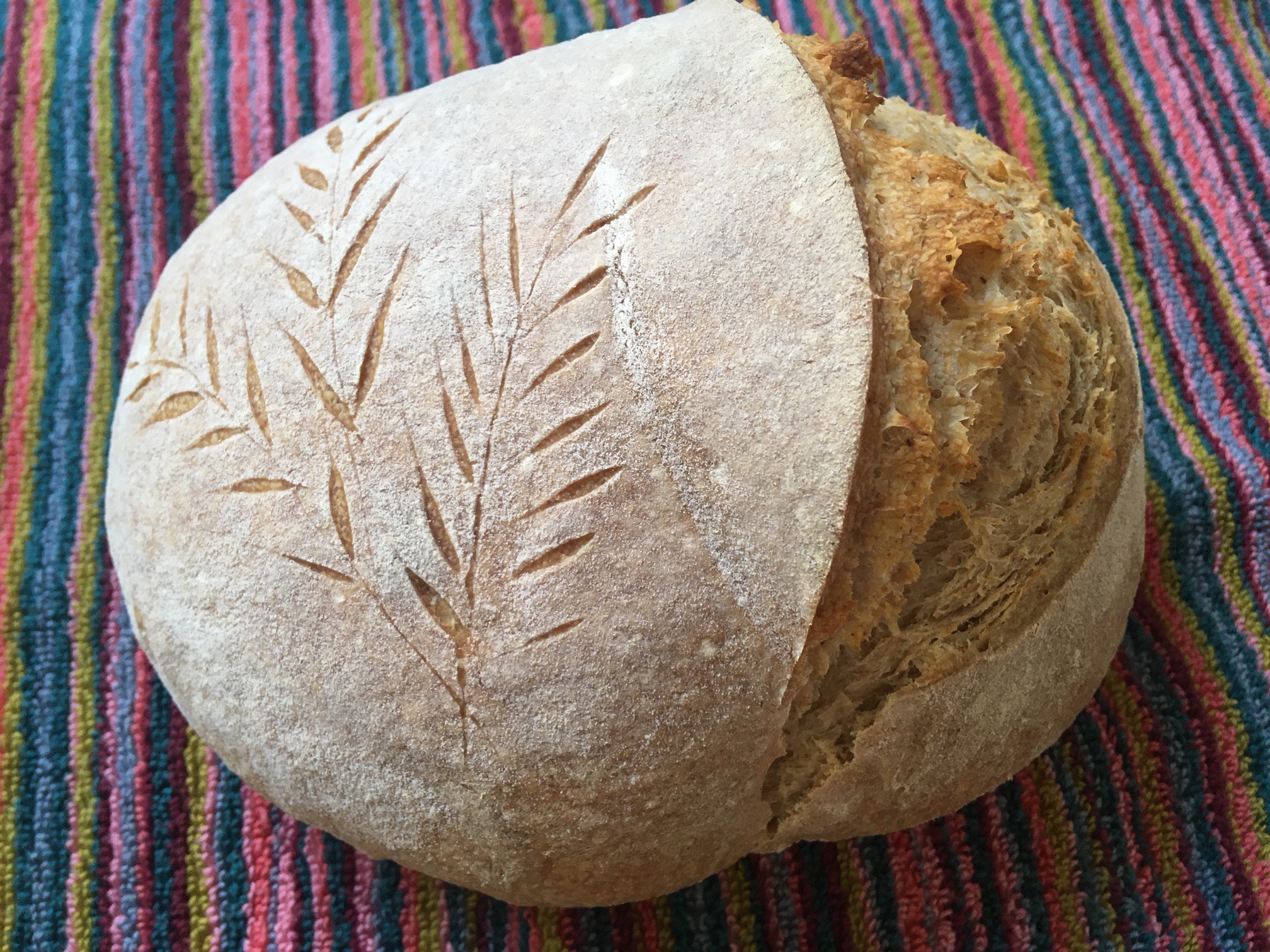 Proving Bread Overnight Why And How? Freshly Baked Bread Recipes