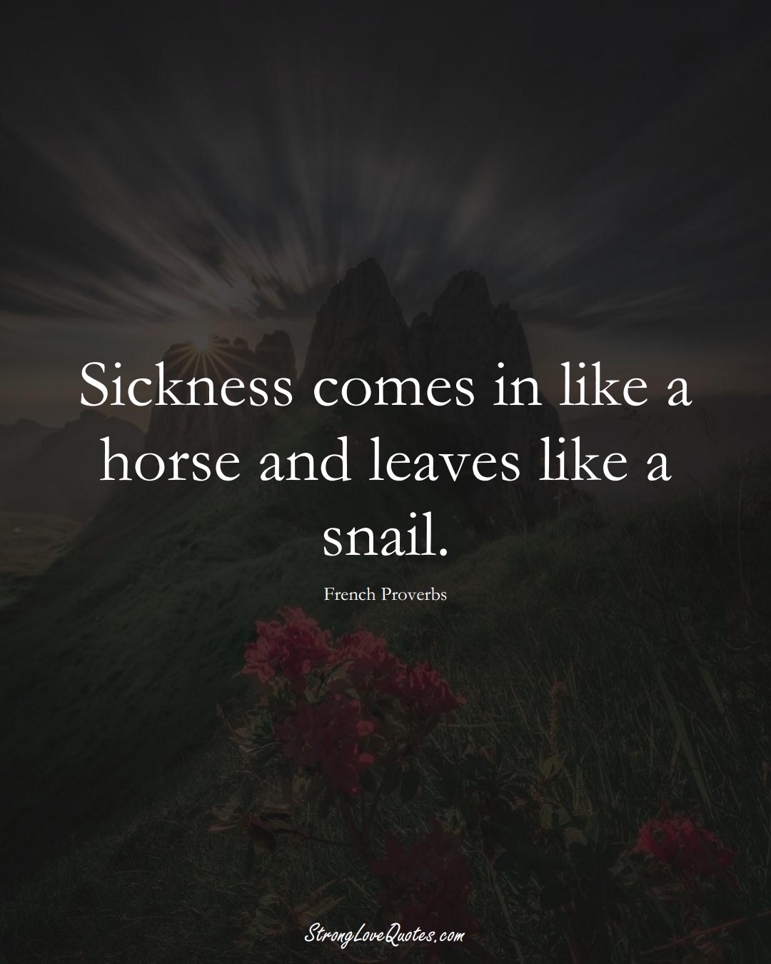 Sickness comes in like a horse and leaves like a snail. (French Sayings);  #EuropeanSayings