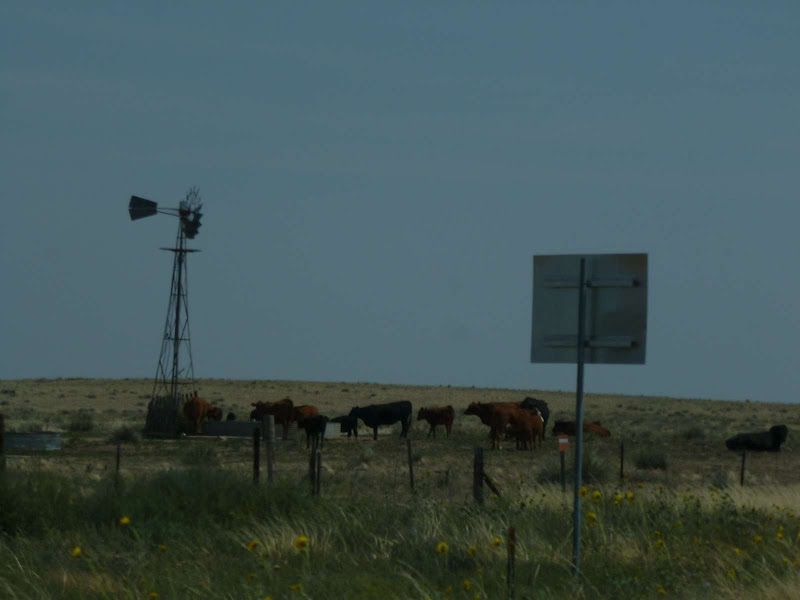 15: Colorado - Kansas - Driving me ... USA (23)