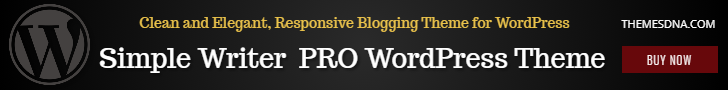 Simple Writer PRO WordPress Theme