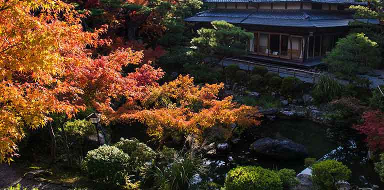 13+ Tempat Wisata di Nara (Jepang) Yang Wajib Dikunjungi