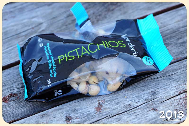 The Exploring Hamster Pistachios, walnuts, and peanuts... Oh my.