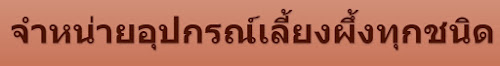 อปกรณ์เลี้ยงผึ้ง