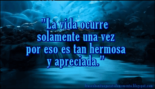 Frases Bonitas Para Todo Momento. : La vida ocurre solamente una vez por  eso es tan hermosa y apreciada.