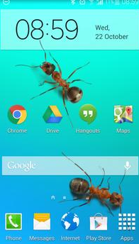 Ants On Screen Funny Joke APK Download For Android
