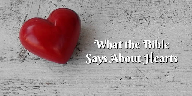 A wonderful collection of 1-minute devotions about Hearts! God's heart, our hearts, broken hearts, whole hearts. Enjoy!