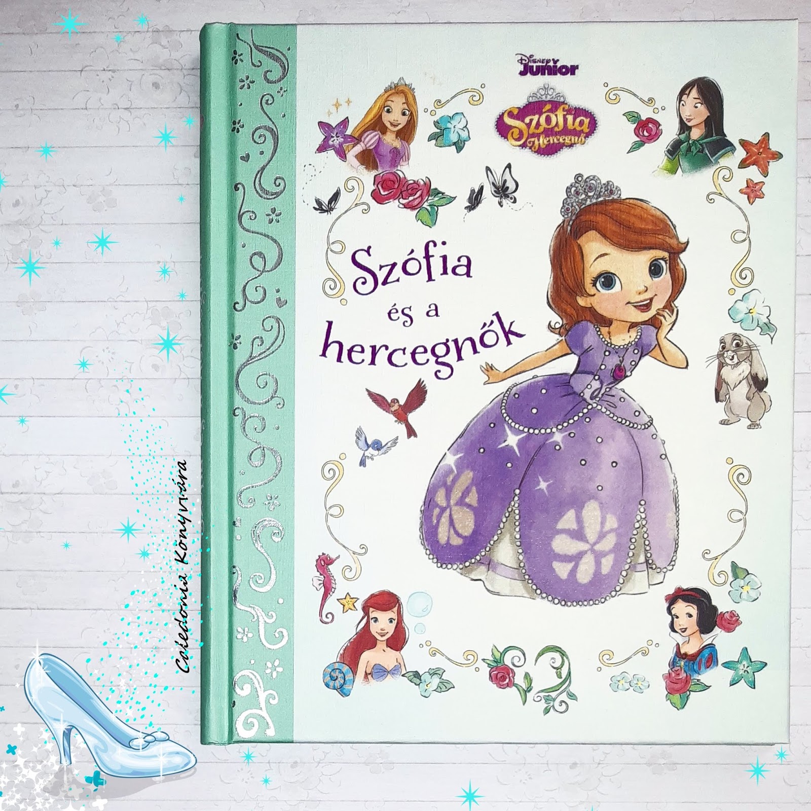 Princesse Sofia - Catherine Hapka, Grace Lee - Disney Hachette