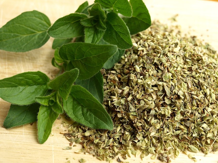 propiedades del oregano