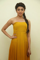 Pranitha Hot Photos at Alludu Seenu Audio TollywoodBlog.com