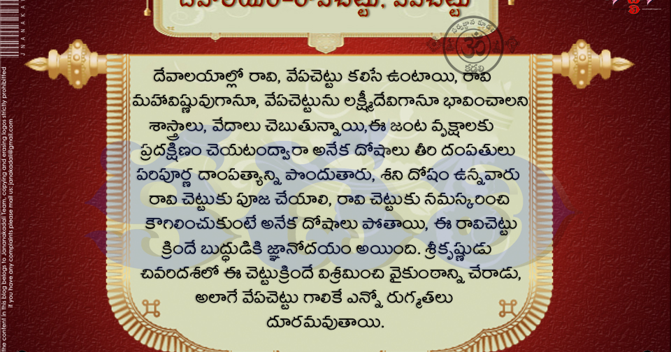 View Peepal Tree In Telugu PNG