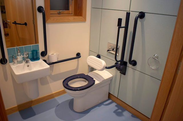 Accessible toilet and sink