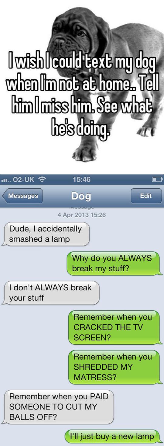 Funny Text Messages Photos Funny Text Messages Photos