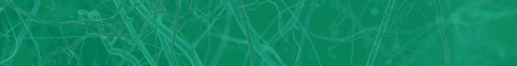 Регистрация neurocyte.biz