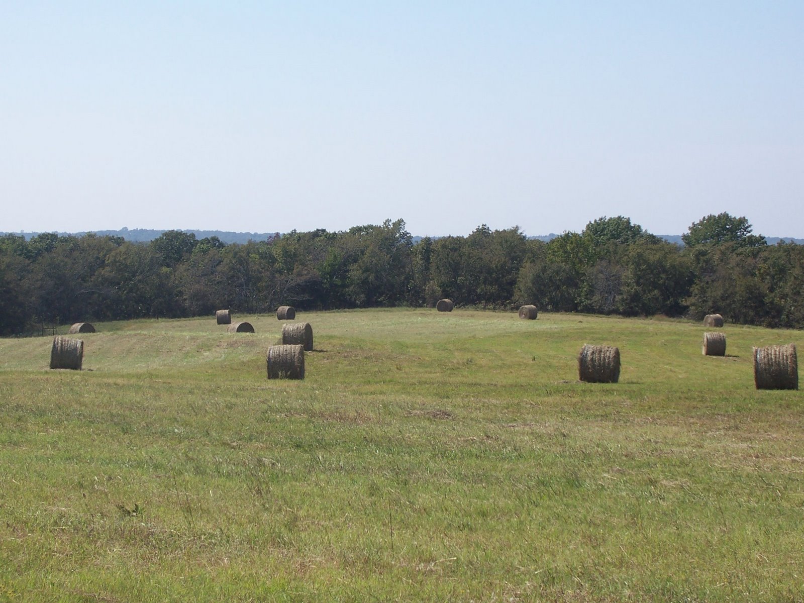 How To Feed A Round Bale of Hay with Less Waste Oak Hill Homestead