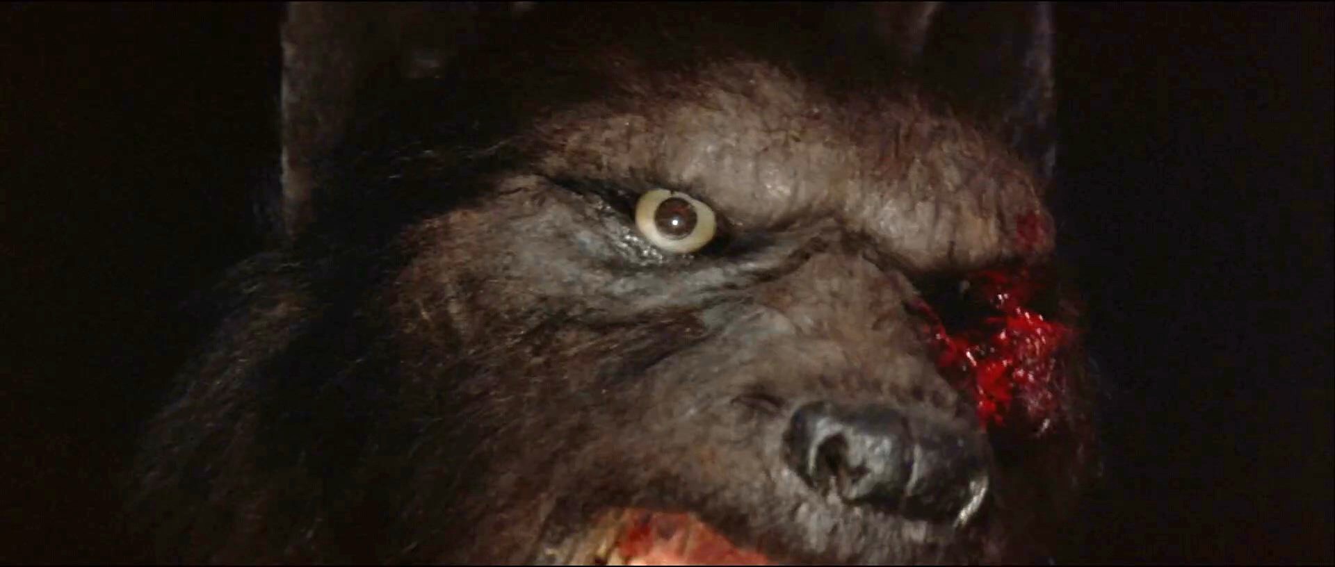 A Hora do Lobisomem 6