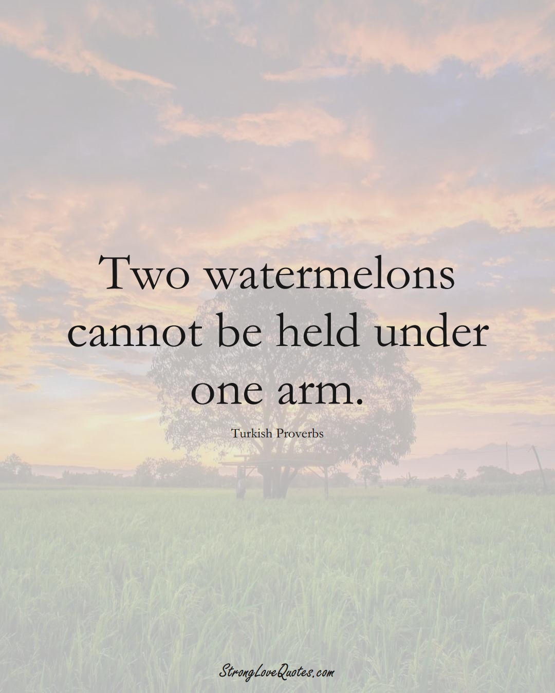 Two watermelons cannot be held under one arm. (Turkish Sayings);  #MiddleEasternSayings