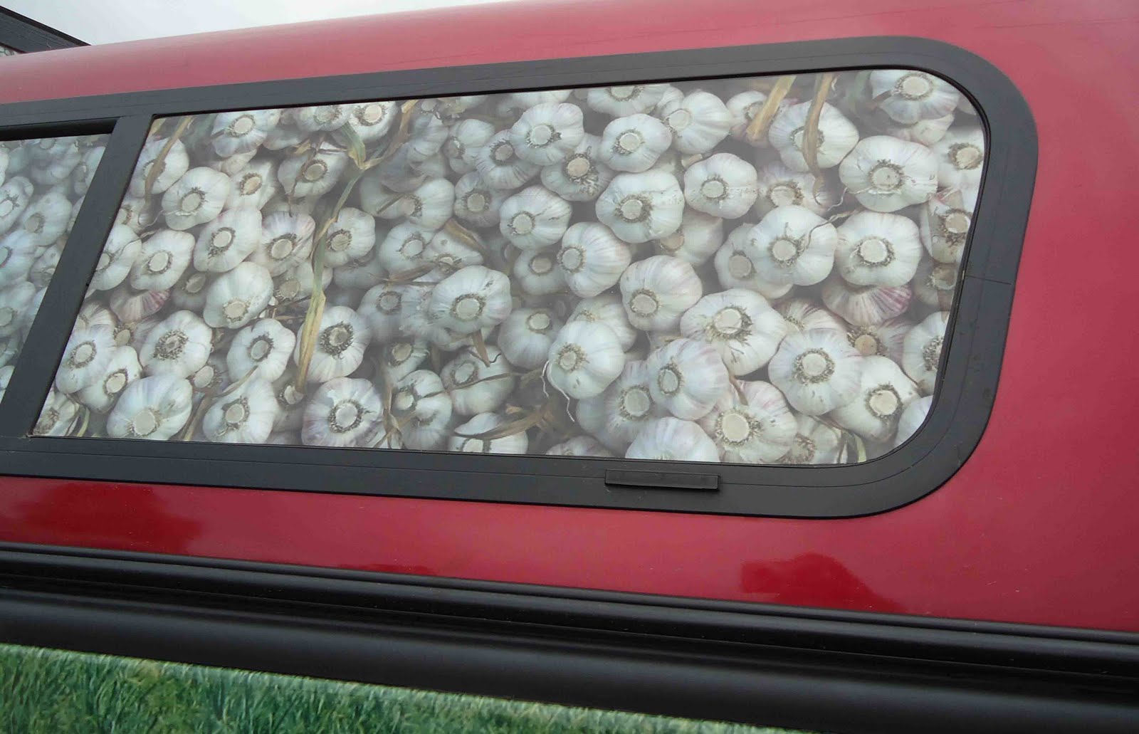 Small Purse, Big Garden The Verona Garlic Festival