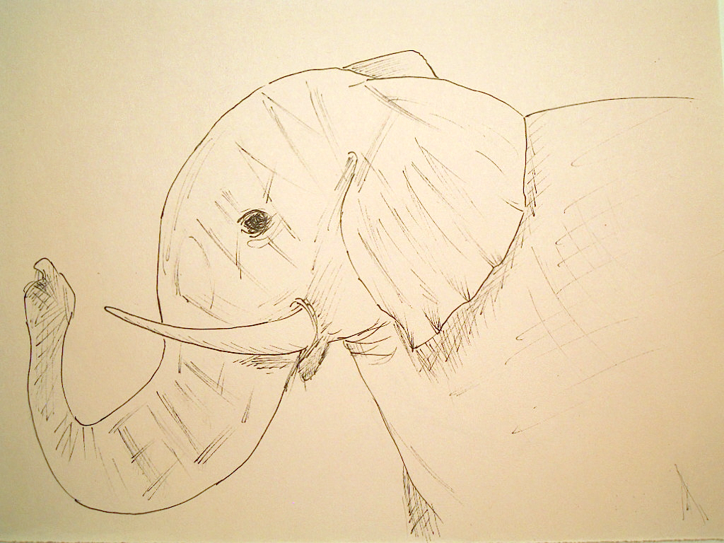 Elephant No. 282 Hidden Word Optical Illusions