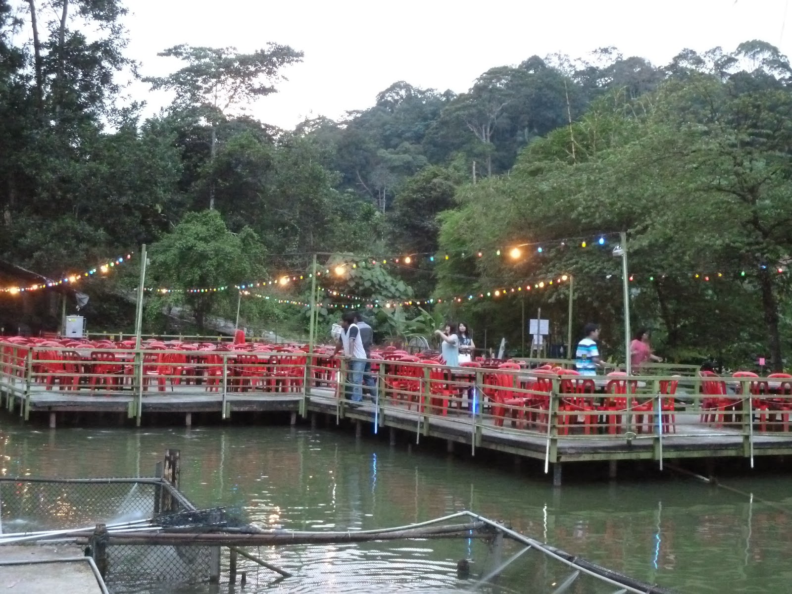 Kee Hua Chee Live! NICE DINNER AT VEGETABLE FISH FARM THAI RESTAURANT