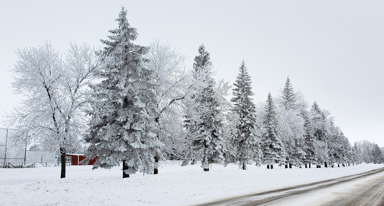 Carrington, North Dakota January Frost in Carrington, North Dakota