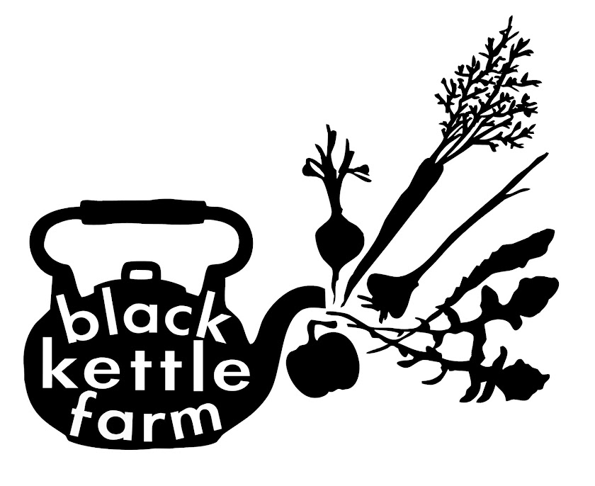 black kettle farm