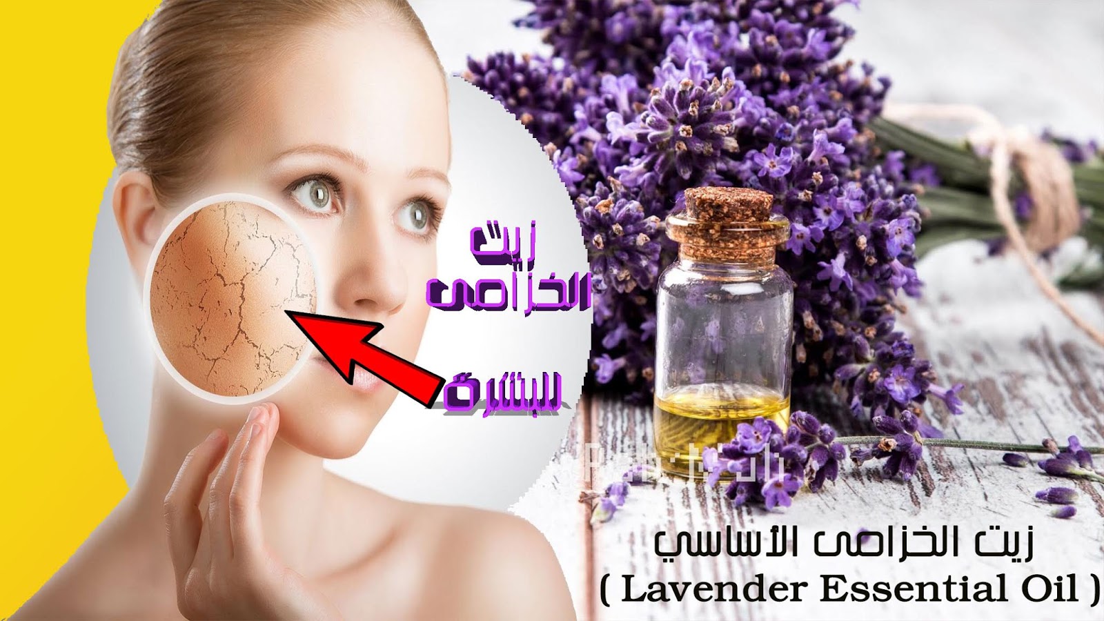 هل تريدين الحفاظ على بشرتك؟ فيما يلي 8 فوائد لزيت اللافندر الأساسي