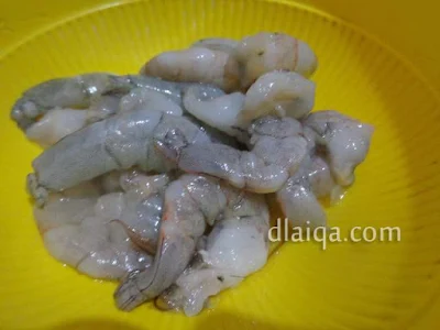 udang