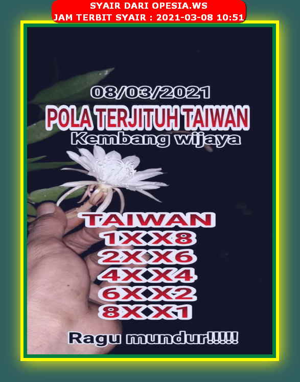 forum syair hk Meloditogel