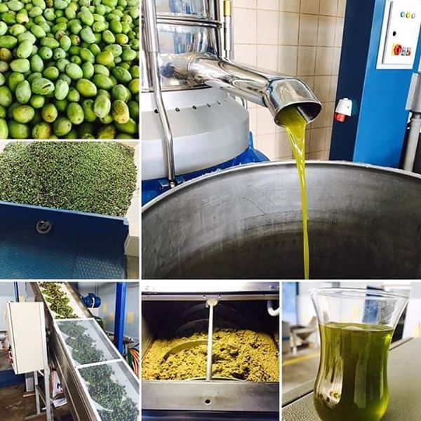 dogankoy dogal zeytin yaglari dogankoy