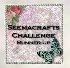 Runner Up at Seema Crafts