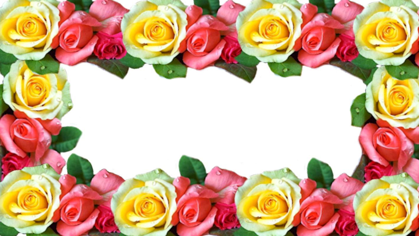 Multicolored Rose Frames