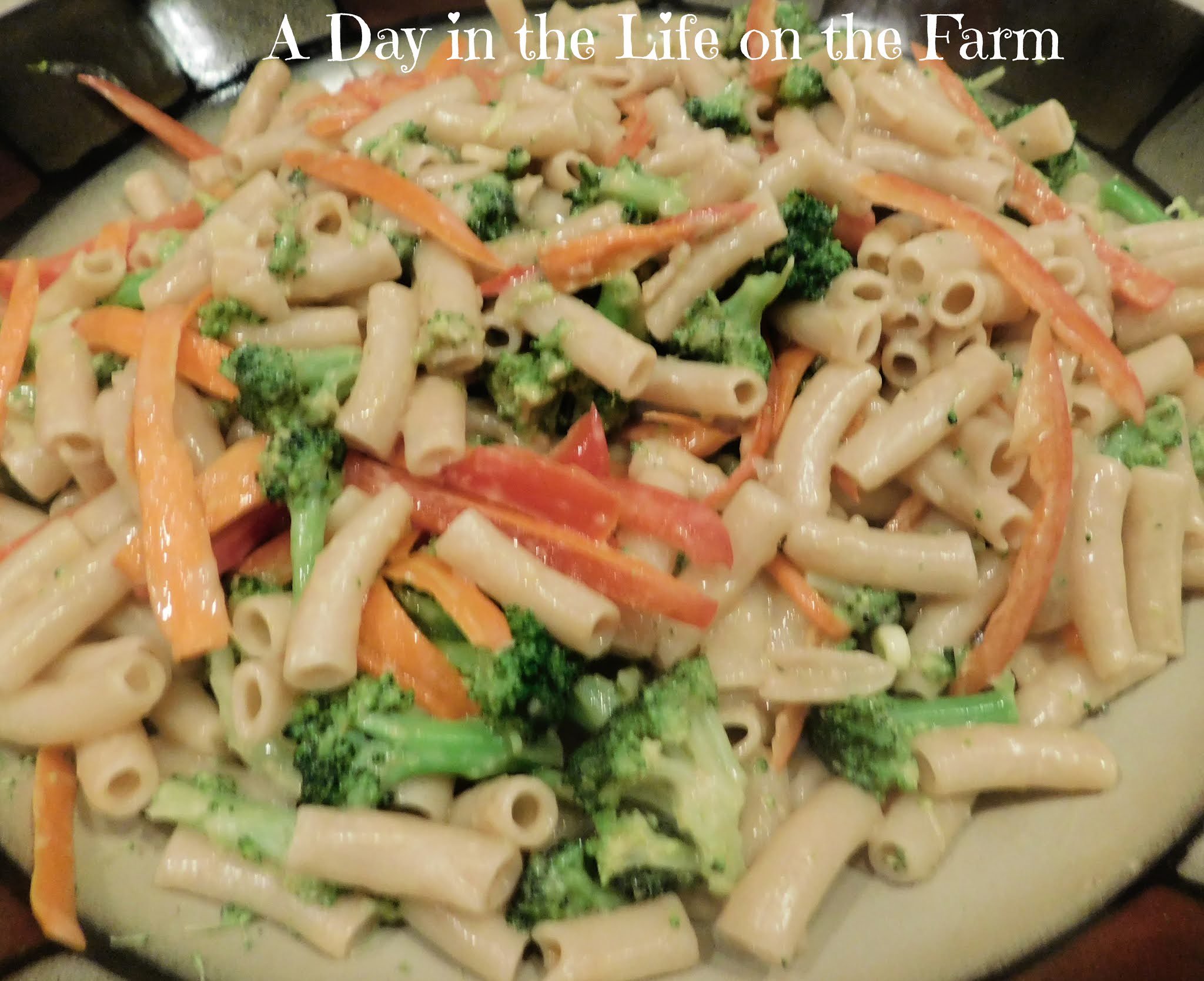 A Day in the Life on the Farm Gluten Free Gingery Peanut Pasta 