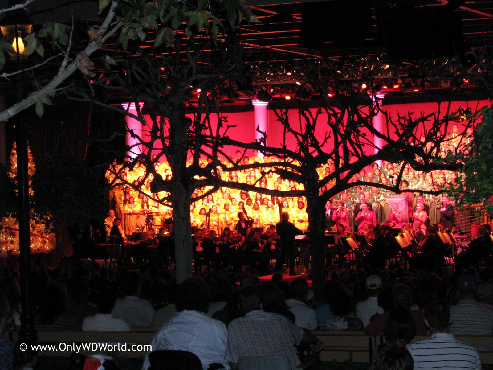 2015 Epcot Candlelight Processional Dinner Package Pricing Announced