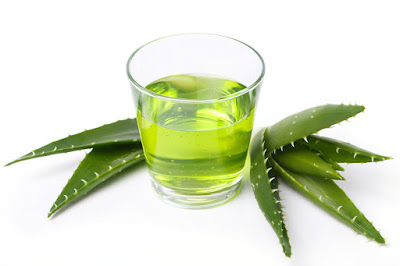 10 motivos para beber jugo de aloe vera o sábila y cómo prepararlo en casa