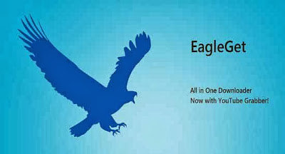 تحميل برنامج EagleGet لتحميل الملفات من الانترنت بسرعة كبيرة