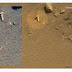 Another Fossilized Bone Photographed By NASA Mars Curiosity